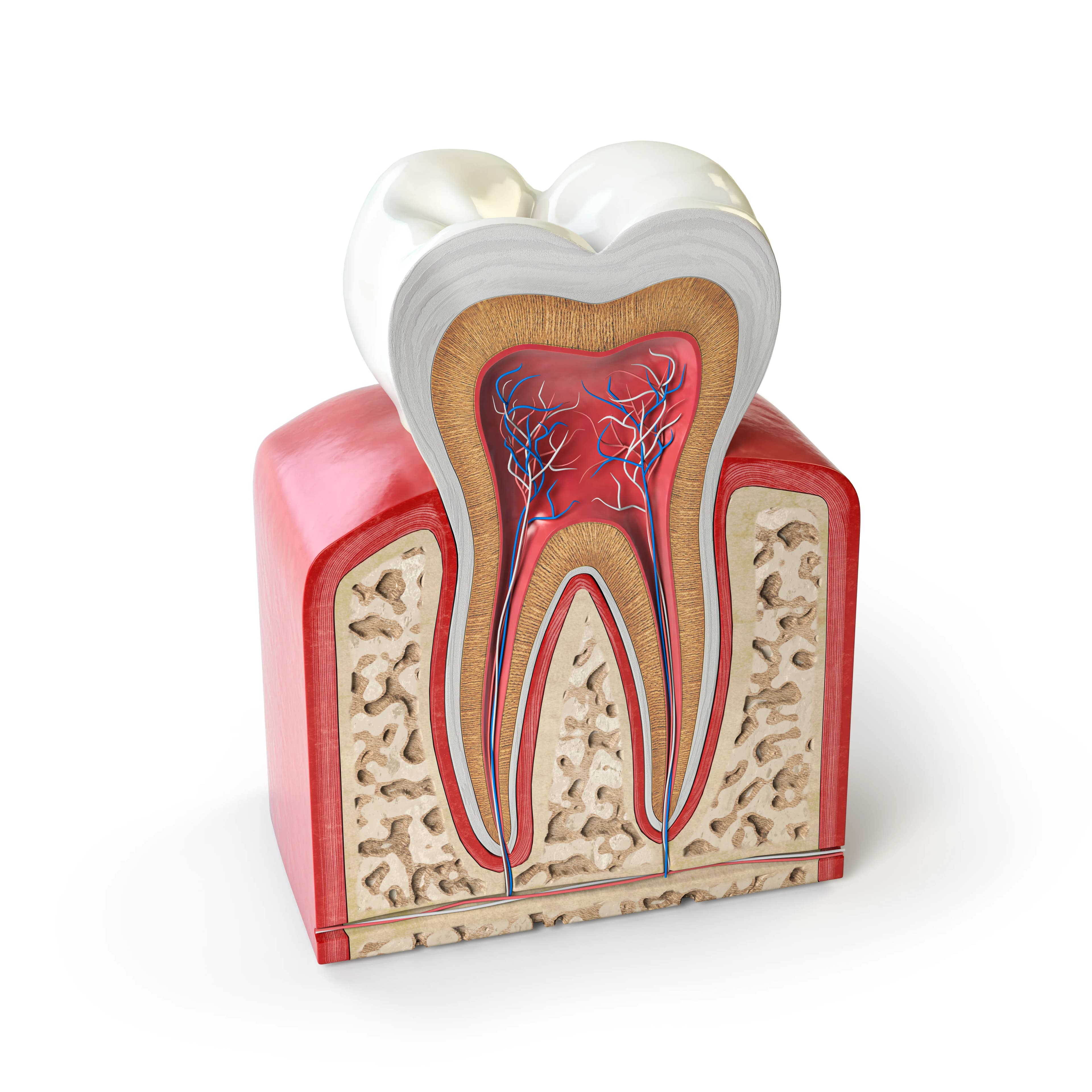 Wisdom Teeth Removal at Dawson Landing Dental in Chestermere